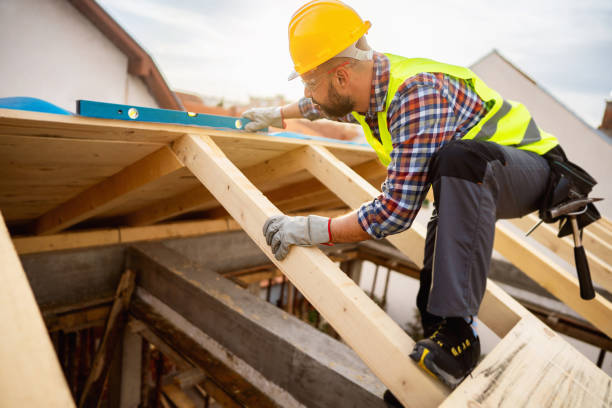 Best Roof Gutter Cleaning  in Silver Lake, FL